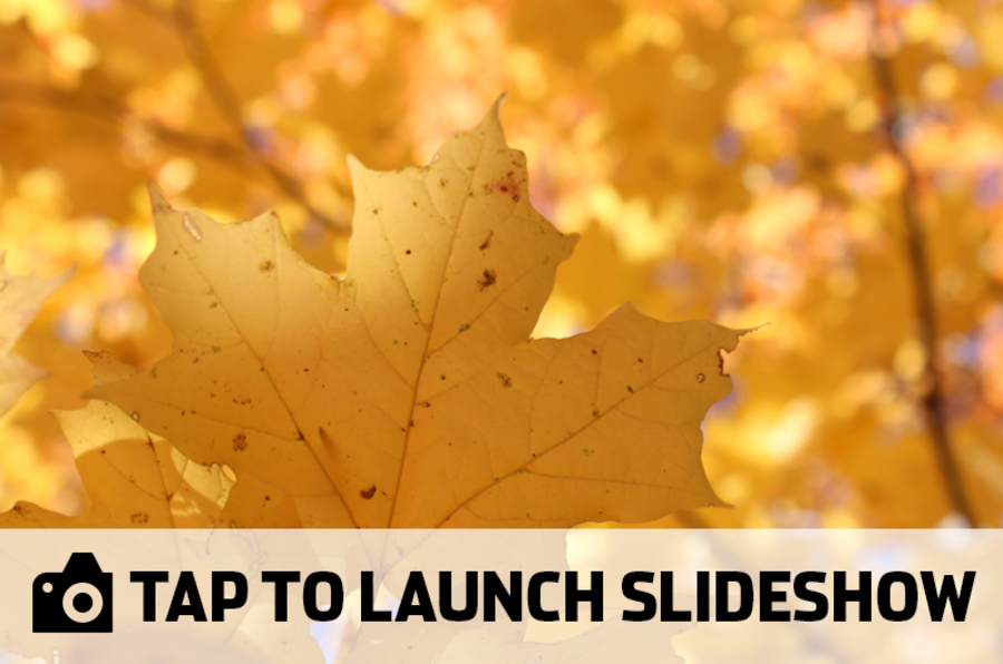 Where and when to see fall color in Colorado